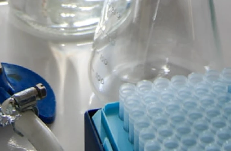 Médica analisando exame de HPV para diagnóstico precoce